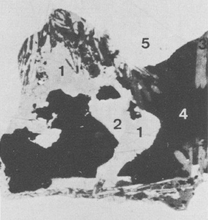 Large Ardaite Image