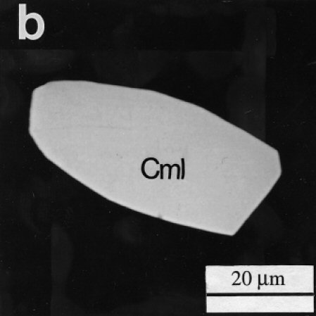 Large Carmichaelite Image