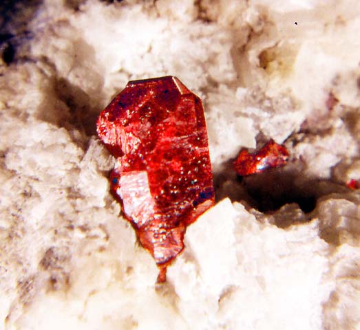 Large Cinnabar Image