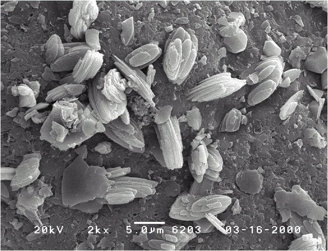 Large Clinoptilolite-K Image