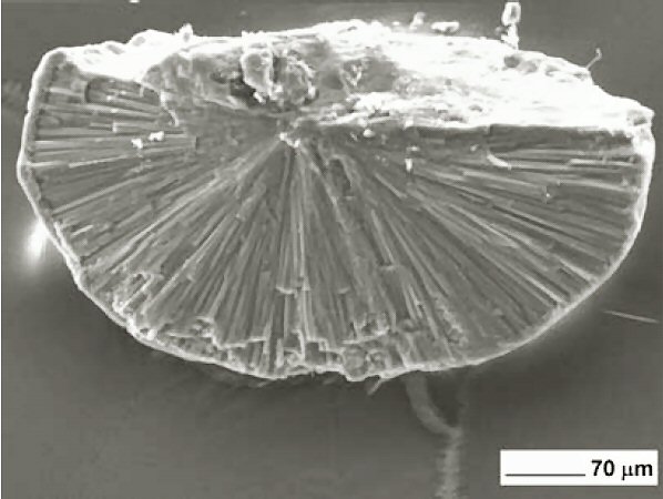 Large Direnzoite Image