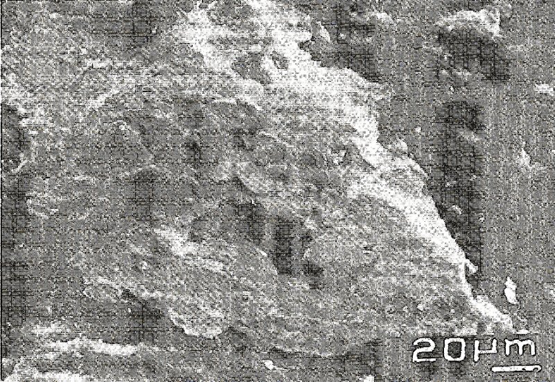 Large Donharrisite Image