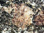 Click Here for Larger Ferriallanite-(Ce) Image