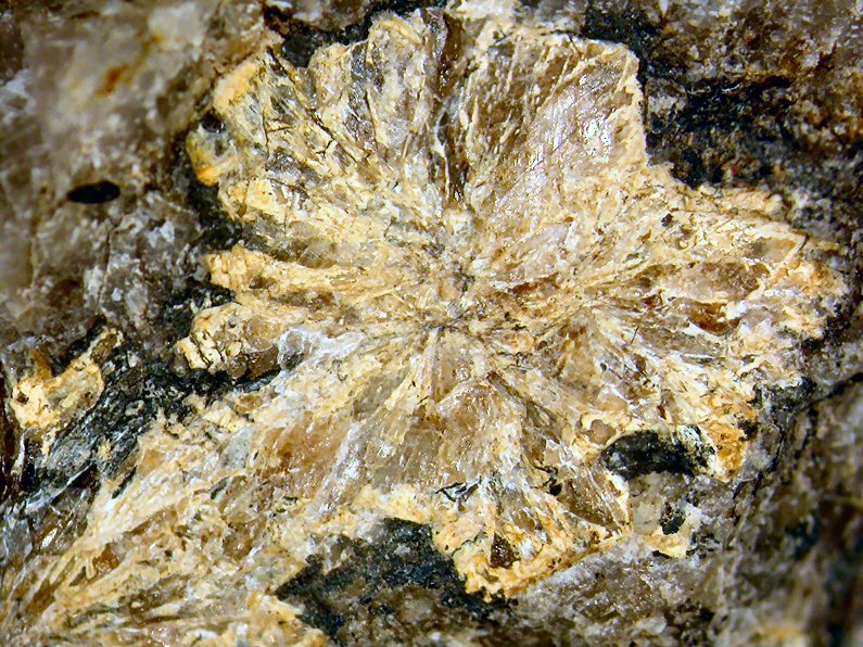 Large Ferronordite-(Ce) Image