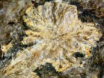 Click Here for Larger Ferronordite-(La) Image