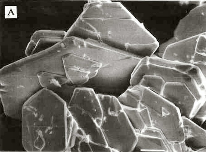 Large Fuenzalidaite Image