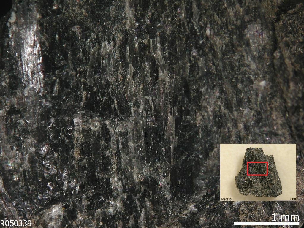 Large Gedrite Image