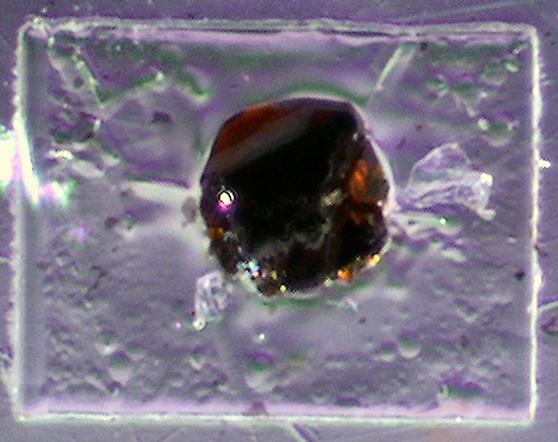 Large Georgbokiite Image