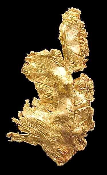 Large Gold Image