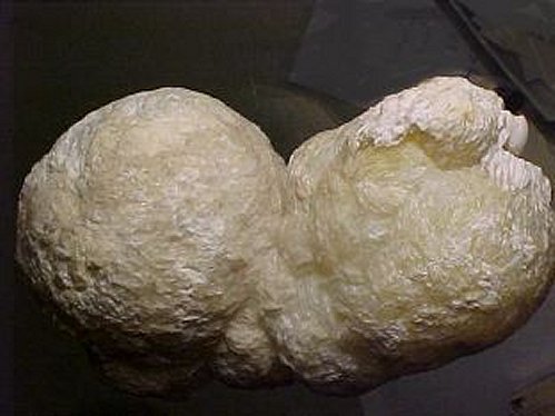 Large Gyrolite Image