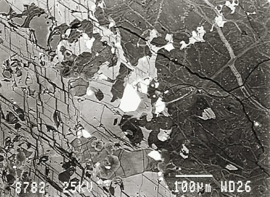 Large Haggertyite Image