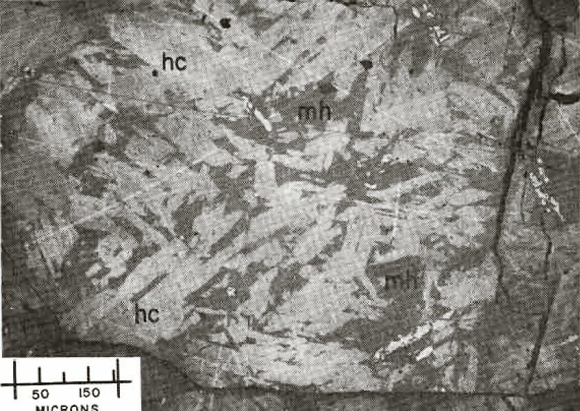 Large Haycockite Image