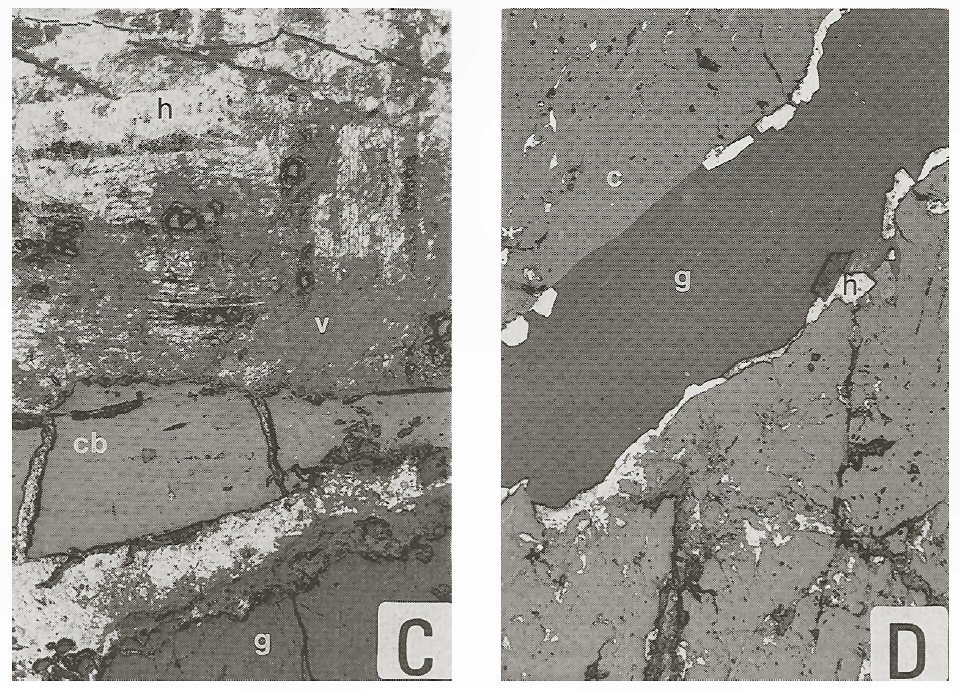 Large Herzenbergite Image