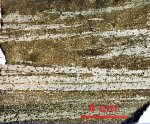 Click Here for Larger Isochalcopyrite Image