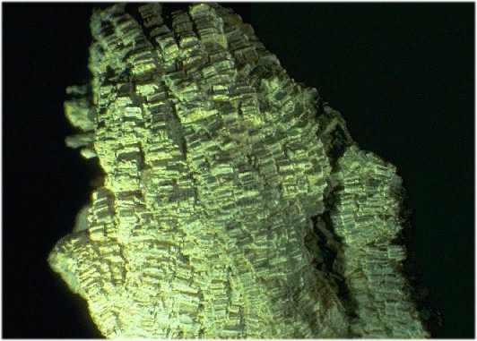 Large Kidwellite Image