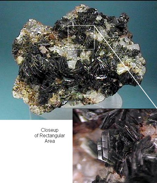 Large Kulanite Image