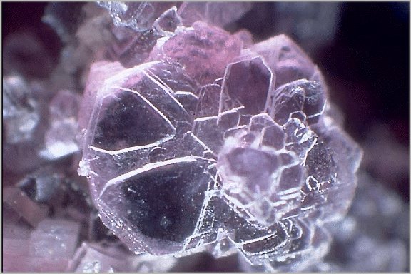 Large Lepidolite Image