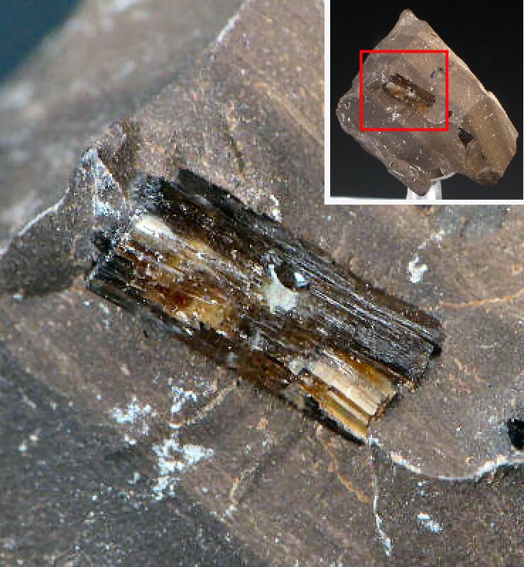 Large Leucosphenite Image