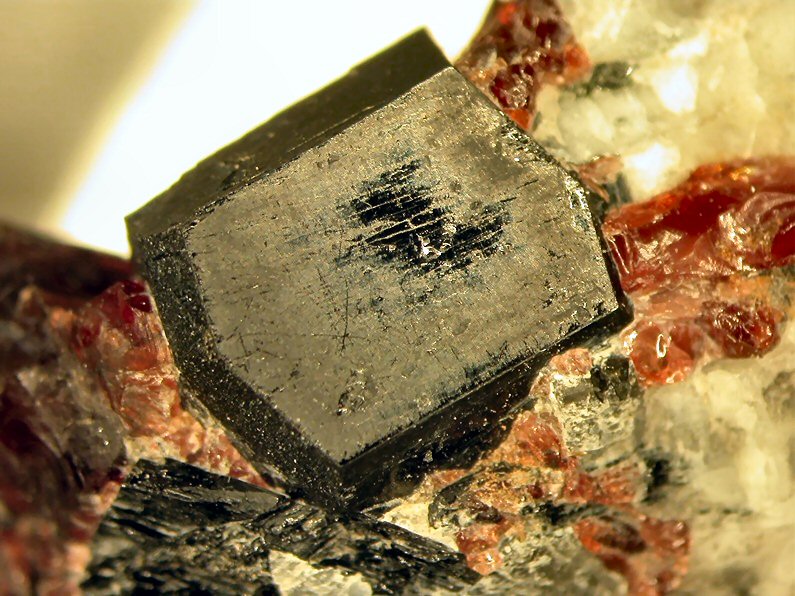 Large Magnesioferrikatophorite Image