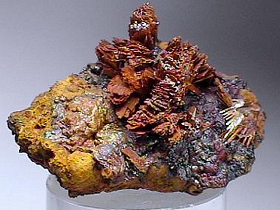 Large Metavivianite Image