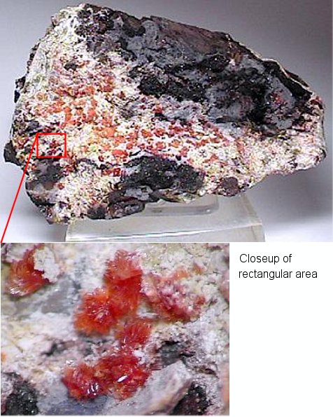 Large Montgomeryite Image