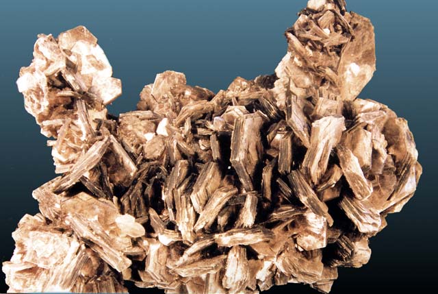 Large Muscovite Image