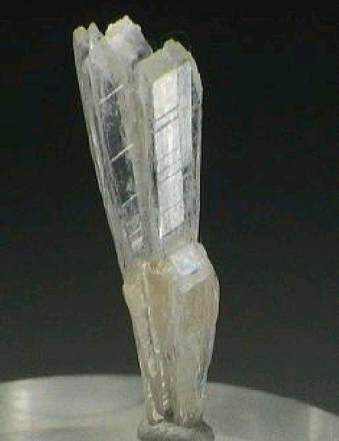 Large Nifontovite Image