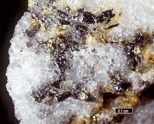 Large Eclarite Image