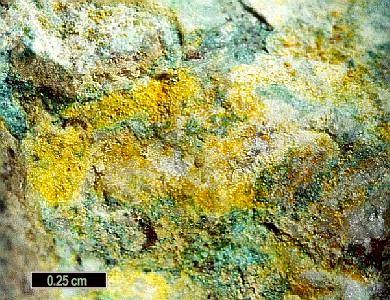 Large Dietzeite Image