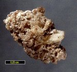 Click Here for Larger Newberyite Image