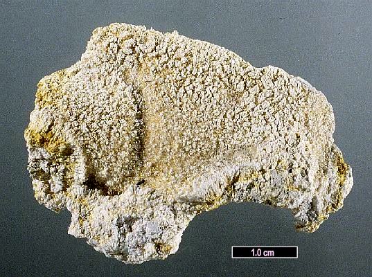 Large Goslarite Image