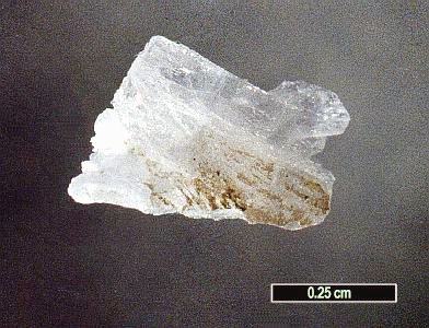 Large Calciborite Image