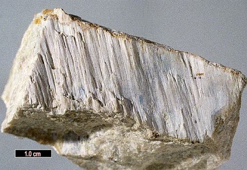 Large Hillebrandite Image