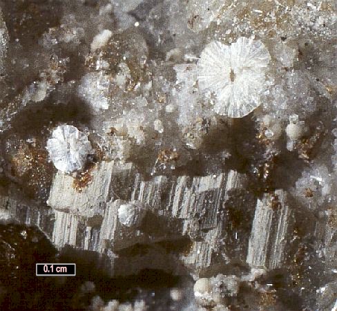 Large Hydrodresserite Image