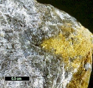 Large Holtedahlite Image