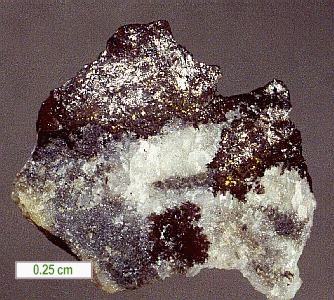 Large Algodonite Image