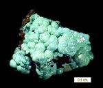 Click Here for Larger Kolovratite Image