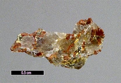 Large Magniotriplite Image