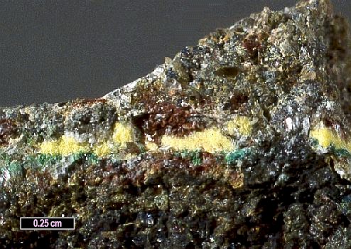 Large Metazellerite Image