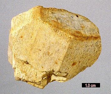 Large Microcline Image