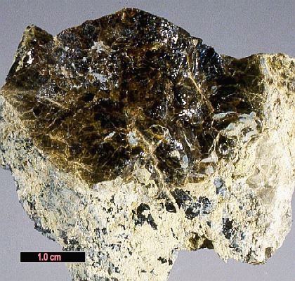 Large Samarskite-(Y) Image