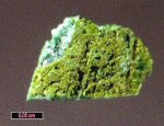 Click Here for Larger Chloromenite Image