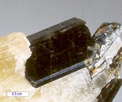 Large Richterite Image