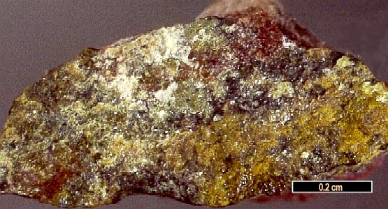 Large Sherwoodite Image