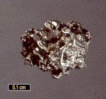 Click Here for Larger Isoferroplatinum Image