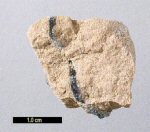 Click Here for Larger Stevensite Image