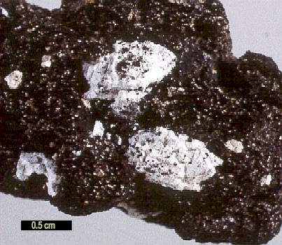 Large Struvite Image