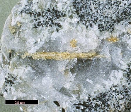 Large Hainite Image