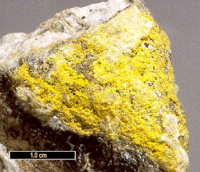 Large Bayleyite Image