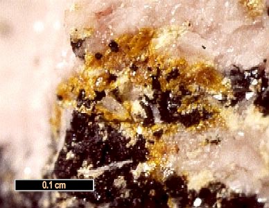 Large Hauckite Image